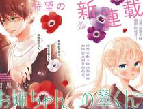citrus 柑橘味香气漫画封面